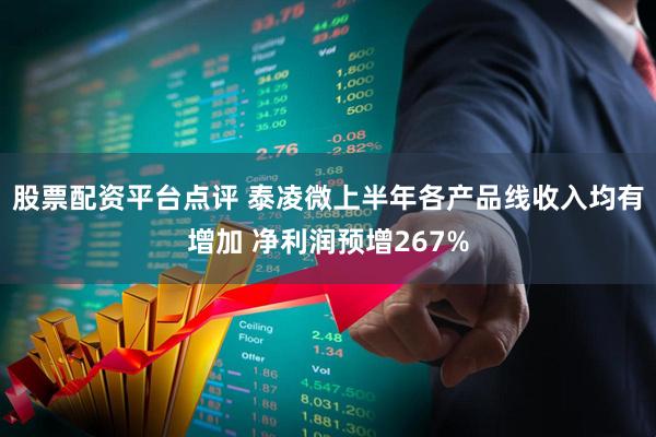 股票配资平台点评 泰凌微上半年各产品线收入均有增加 净利润预增267%